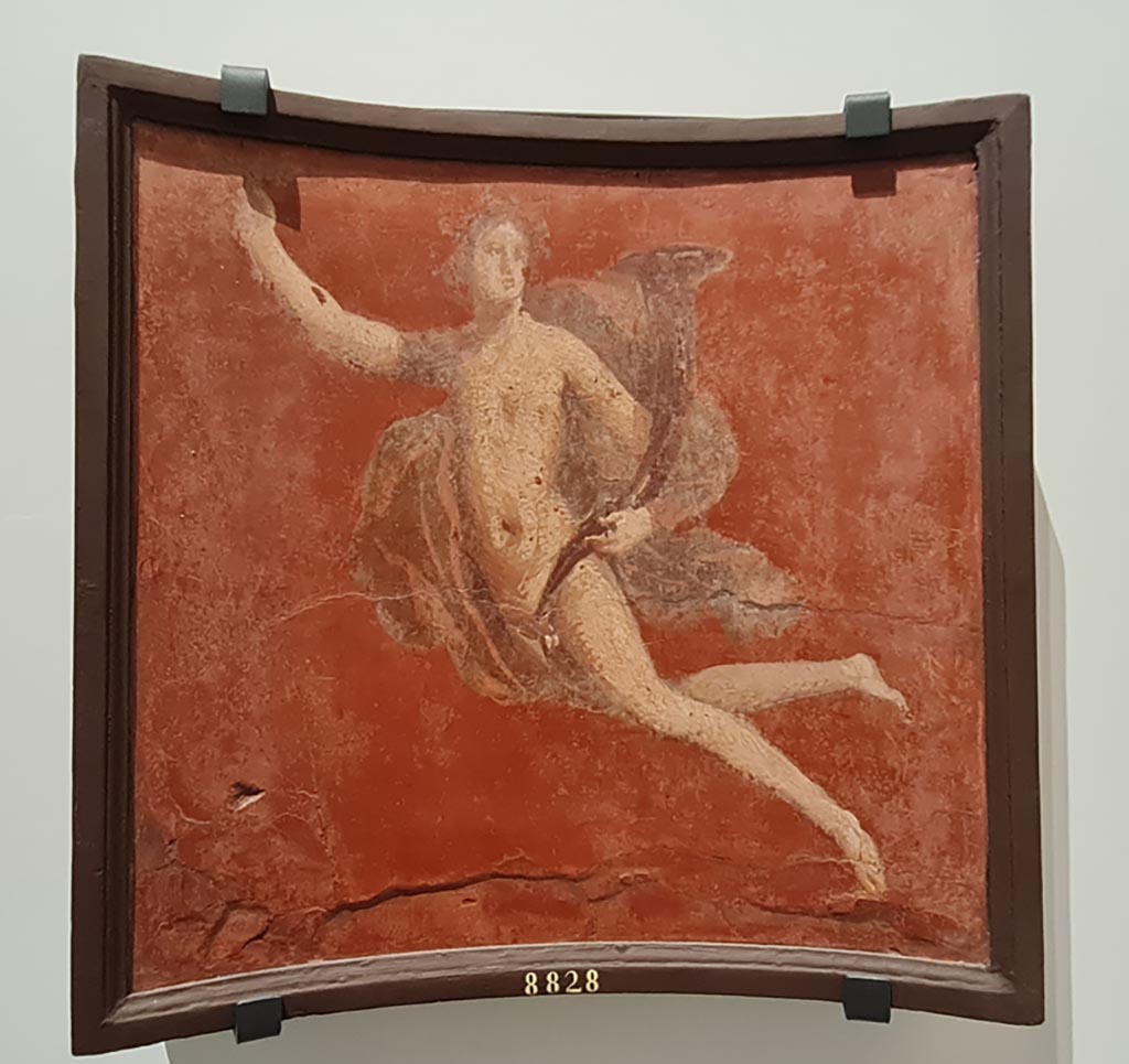 Herculaneum Augusteum. April 2023. Paintings on wall to left of Arch through to display from Theatre.
Flying Genius bearing a cornucopia - inv. 8828. Photo courtesy of Giuseppe Ciaramella.