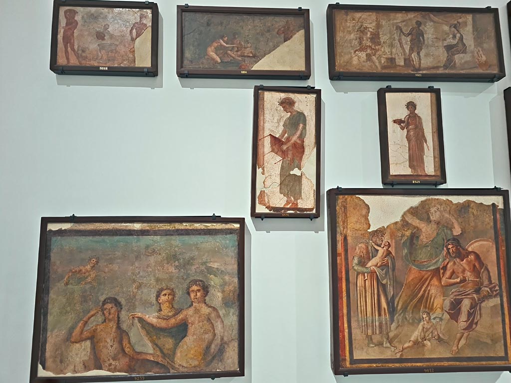 Herculaneum Augusteum. April 2023. Paintings on upper row – 9054, 8864 and 9522.
Paintings on middle row – 9374 and 8949.
Paintings on lower row – 9239 and 9012.
On display in “Campania Romana” gallery in Naples Archaeological Museum. Photo courtesy of Giuseppe Ciaramella.