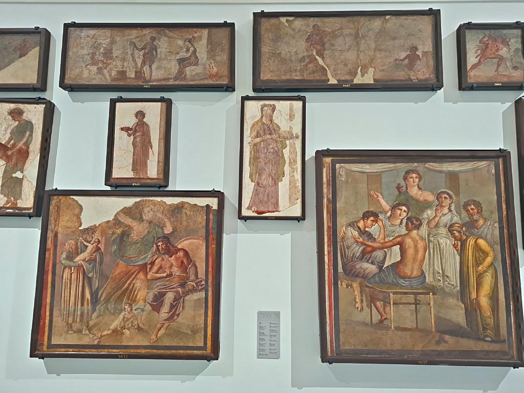 Herculaneum Augusteum. April 2023. Paintings on upper row – 9522, 9007, and 9006, top right.
Paintings on middle row – 9374 and 8949 and 8903.
Paintings on lower row – 9012 and 9027.
On display in “Campania Romana” gallery in Naples Archaeological Museum. Photo courtesy of Giuseppe Ciaramella.