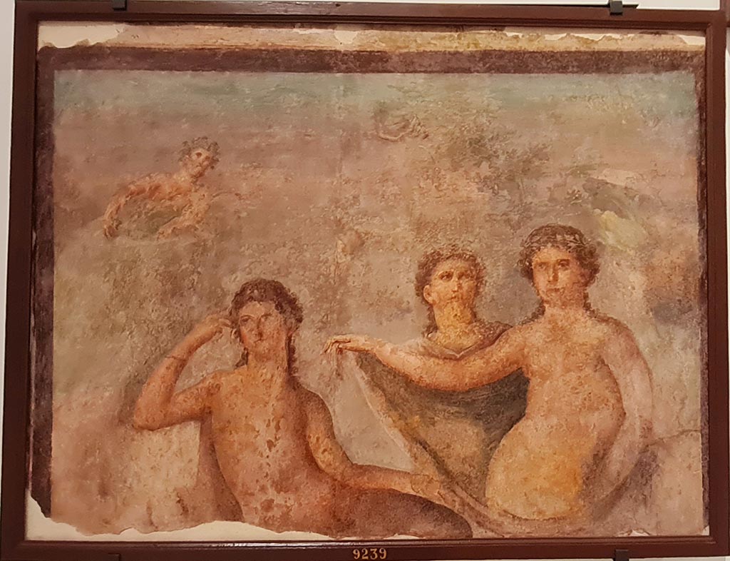Herculaneum Augusteum. Found 1749. Fresco of Venus and Hesperus or the Judgement of Paris.
Now in Naples Archaeological Museum. Inventory number 9239.