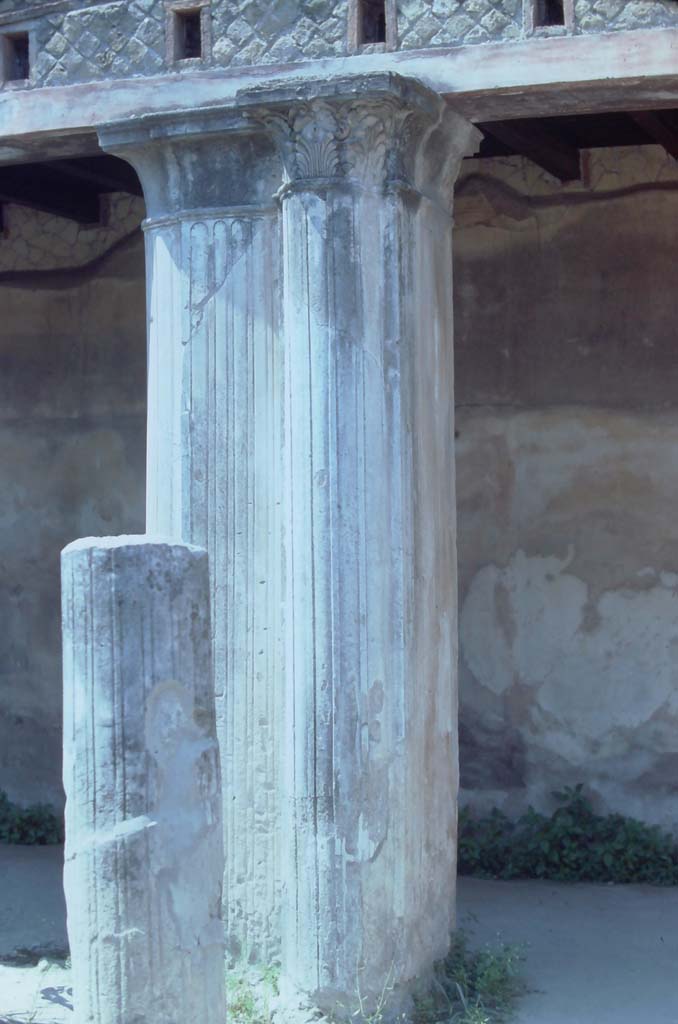 II.2 Herculaneum, 7th August 1976. Looking west from west end of north portico.
Photo courtesy of Rick Bauer, from Dr George Fay’s slides collection.
