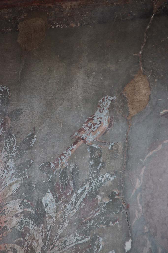III.3, Herculaneum, September 2017. Detail of bird from upper east end of garden painting on south wall above nymphaeum. 
Photo courtesy of Klaus Heese. 
