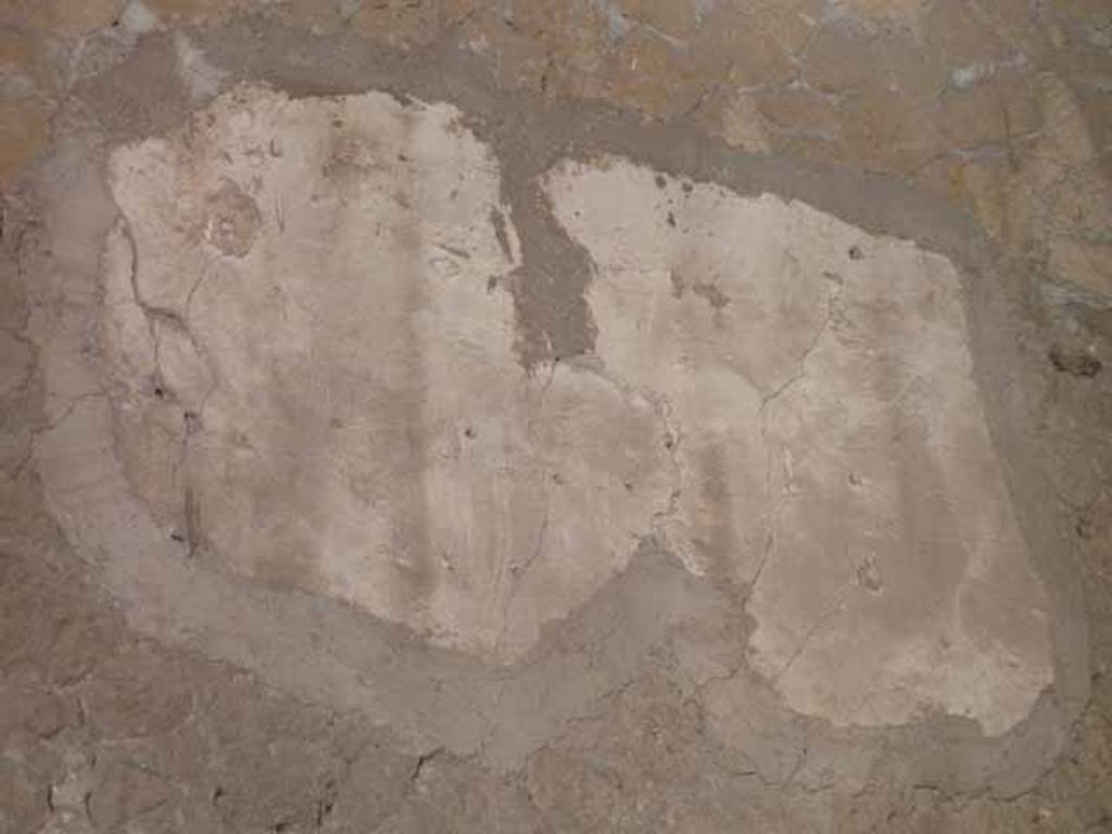 III.11 Herculaneum. May 2010. Room 3, detail from south wall. 