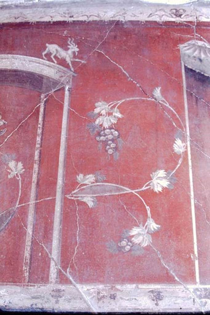 III.11 Herculaneum. House of the Wooden Screen. 1968. Triclinium 8, upper south wall detail with goat and grapes.
Photo by Stanley A. Jashemski.
Source: The Wilhelmina and Stanley A. Jashemski archive in the University of Maryland Library, Special Collections (See collection page) and made available under the Creative Commons Attribution-Non-Commercial License v.4. See Licence and use details.
J68f1822


