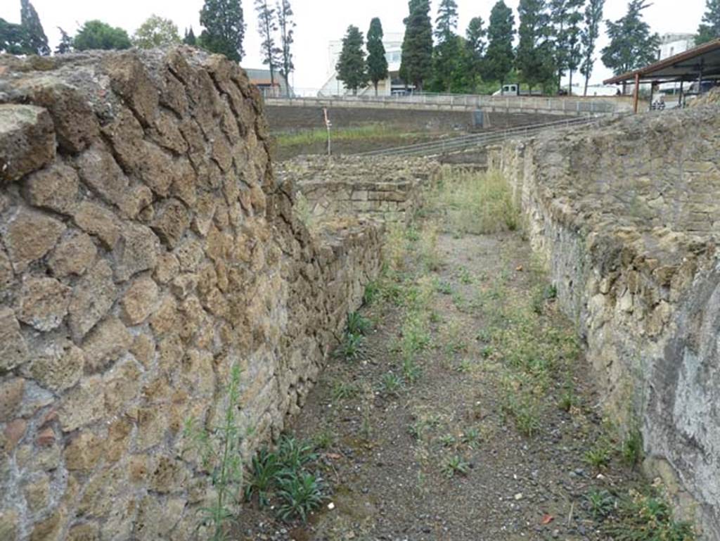 III.19/18/1 Herculaneum, September 2015. Corridor, looking south from atrium.
This corridor would have led to the stairs down to lower levels. According to Maiuri, this would have led to the lower floor and the subterranean rooms but only the staircase with the long corridor leading down to them has so far been excavated.
See Maiuri, Amedeo, (1977). Herculaneum. 7th English ed, of Guide books to the Museums Galleries and Monuments of Italy, No.53 (p.27).
.