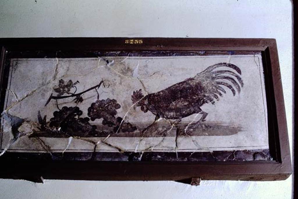 IV.21, Herculaneum. 1968. A cock, on the right, is about to peck at two grapes, still attached to the vine-shoot. Possibly found  31st July 1748. Photo by Stanley A. Jashemski.
Source: The Wilhelmina and Stanley A. Jashemski archive in the University of Maryland Library, Special Collections (See collection page) and made available under the Creative Commons Attribution-Non-Commercial License v.4. See Licence and use details. J68f0789.  Now in Naples Archaeological Museum. Inventory number 8735.



