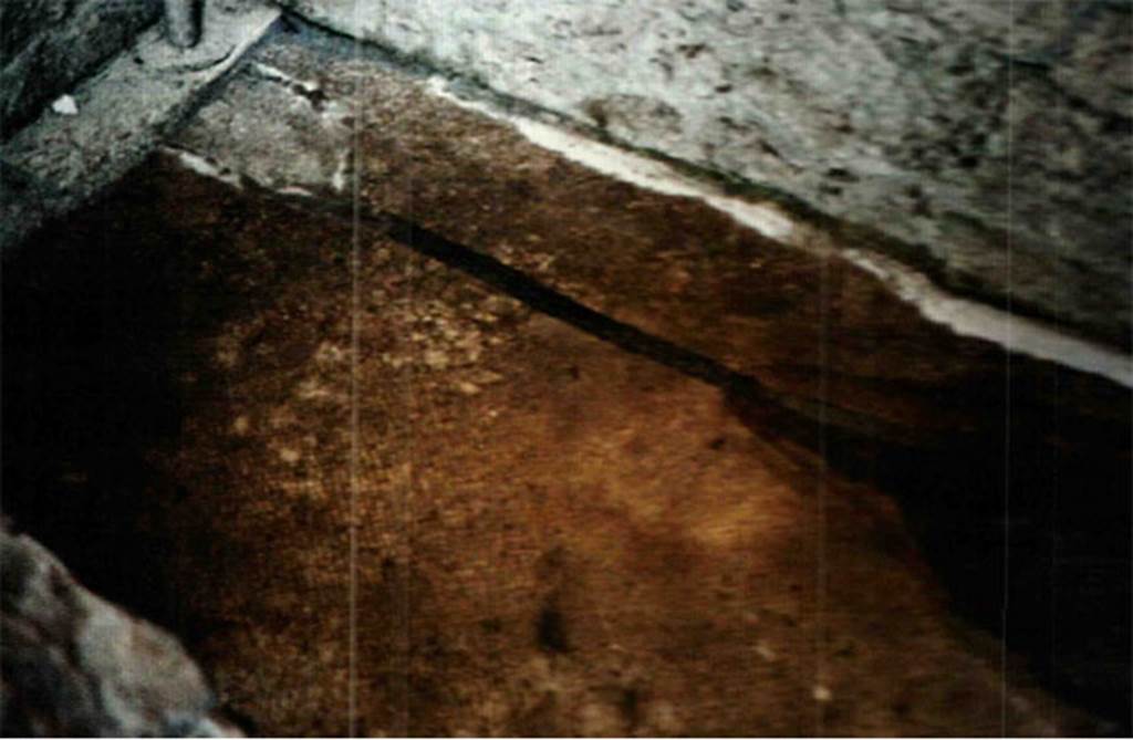 Herculaneum IV.21, room 10, white mosaic edged by bands in contrasting colour.
Photo  Sposito, Francesca, Area archeologica, Casa dei Cervi (IV,21), ambiente 10, tessellato bianco bordato da fasce in colore contrastante, in TESS  scheda 18407 ( http://tess.beniculturali.unipd.it/web/scheda/?recid=18407 ), 2016
