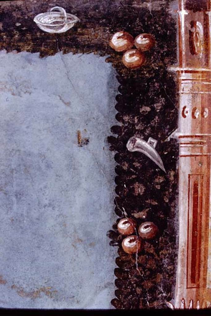 IV.21, Herculaneum. 1972. 
Triclinium 5, detail from top right-hand corner of painting. Photo by Stanley A. Jashemski. 
Source: The Wilhelmina and Stanley A. Jashemski archive in the University of Maryland Library, Special Collections (See collection page) and made available under the Creative Commons Attribution-Non-Commercial License v.4. See Licence and use details.
J72f0569
Now in Naples Archaeological Museum. Inventory number 9838.
