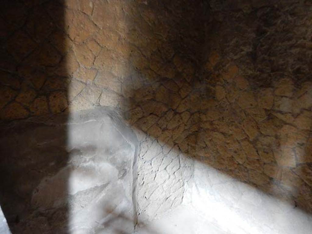 IV.21, Herculaneum. May 2018. Room 8, looking towards north-west corner. Photo courtesy of Buzz Ferebee. 