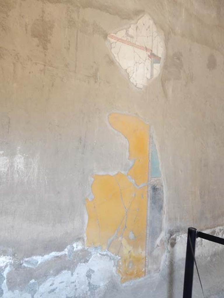 IV.21, Herculaneum. May 2018. Cryptoporticus 29, detail of painted decoration from east wall. 
Photo courtesy of Buzz Ferebee. 
