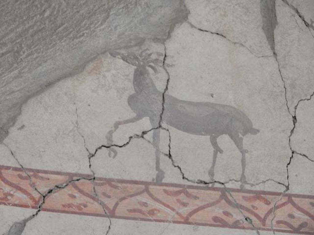 IV.21, Herculaneum. May 2018. Cryptoporticus 29, detail of painted decoration from upper east wall.
Photo courtesy of Buzz Ferebee. 
