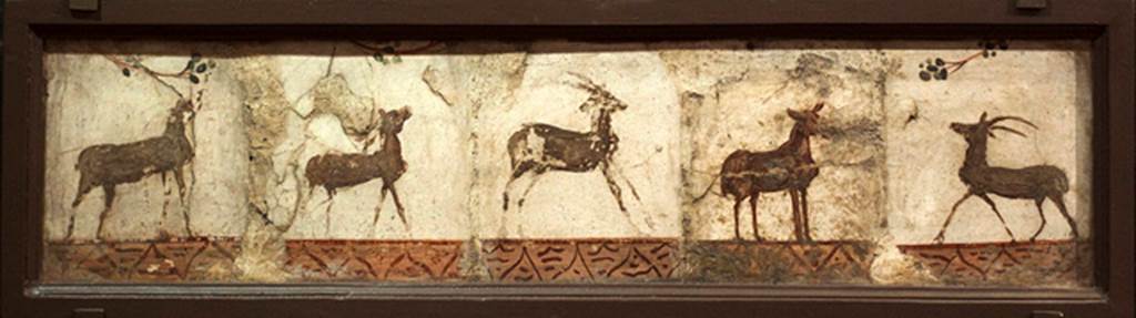 IV.21, Herculaneum. Five deer. Found between August and September 1748, perhaps from the eastern Cryptoporticus 29.
Now in Naples Archaeological Museum. Inventory number 8803.
See Tran Tam Tinh, 1988. La Casa dei Cervi a Herculanum. Roma: Giorgio Bretschneider. (fig.72).
