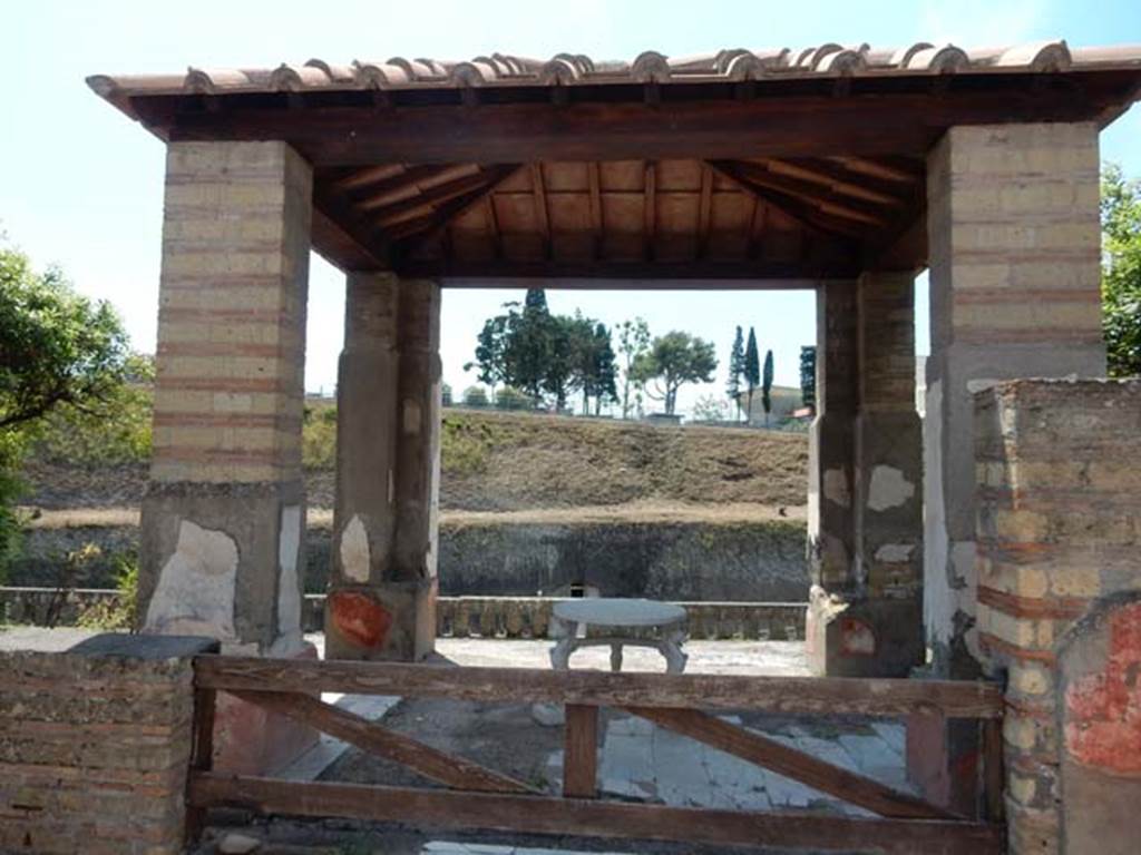 IV.21, Herculaneum. May 2018. Cryptoporticus 30, detail of flooring. Photo courtesy of Buzz Ferebee. 