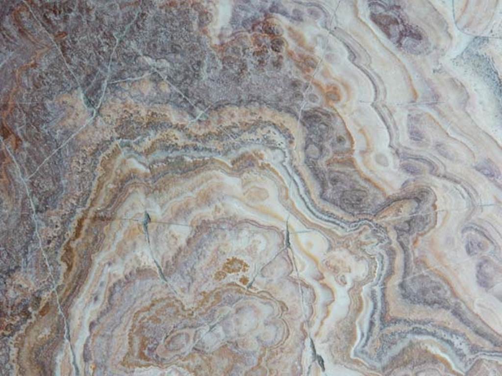 IV.21, Herculaneum. May 2018. Cryptoporticus 30, detail of flooring outside of doorway to Oecus 16.
Photo courtesy of Buzz Ferebee. 
