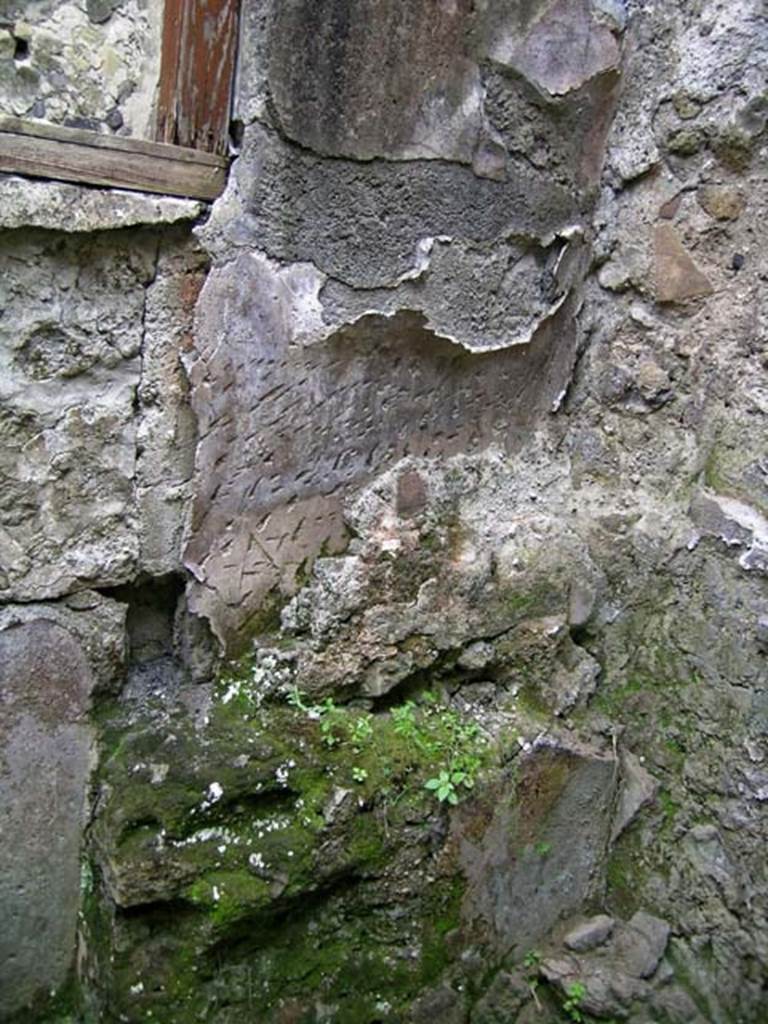 A close up of a rock

Description generated with very high confidence