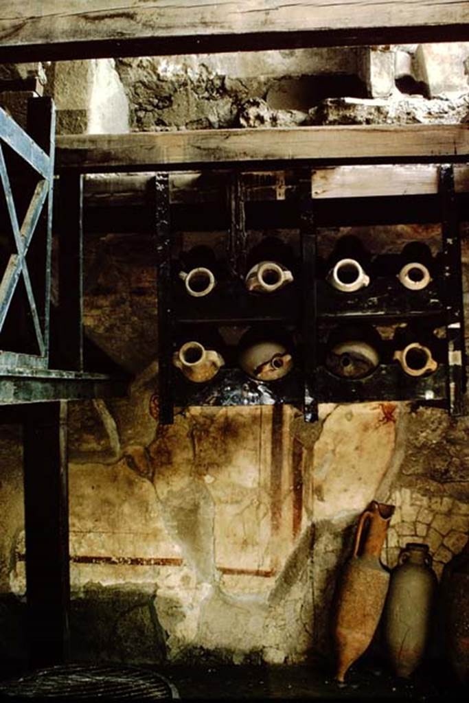 V, 6, Herculaneum, 1964. South wall with remains of painted decoration beneath amphora rack.  In the centre at the top of the rack, the carbonised rope is still tied to the shelf. Photo by Stanley A. Jashemski.
Source: The Wilhelmina and Stanley A. Jashemski archive in the University of Maryland Library, Special Collections (See collection page) and made available under the Creative Commons Attribution-Non Commercial License v.4. See Licence and use details. J64f1435

