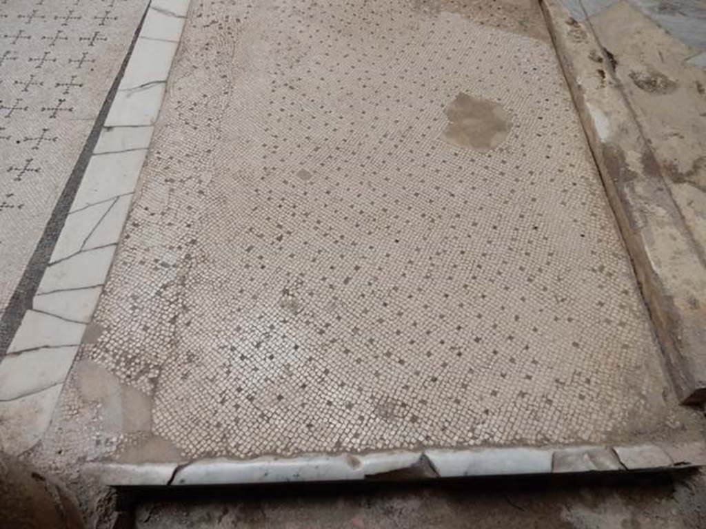 V.8 Herculaneum, May 2018. 
Area 4, looking east along detail of flooring on north side of courtyard, with the doorway to room 7 on the right.
Photo courtesy of Buzz Ferebee.
