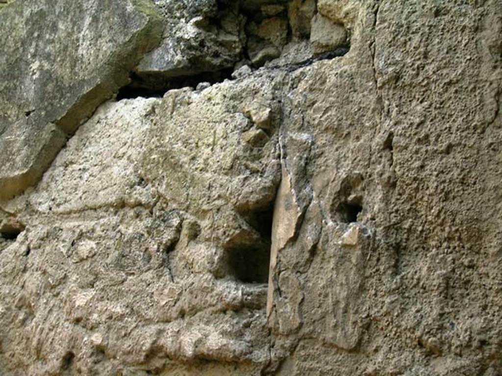 V.9/10, Herculaneum. December 2004. Detail from south-east wall in rear room. Photo courtesy of Nicolas Monteix.


