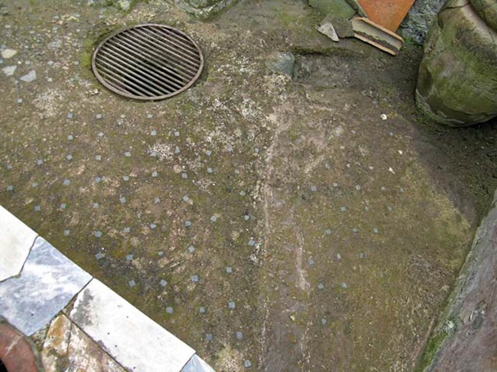 V.10, Herculaneum. May 2005. Floor of shop-room on east side of counter. Photo courtesy of Nicolas Monteix.