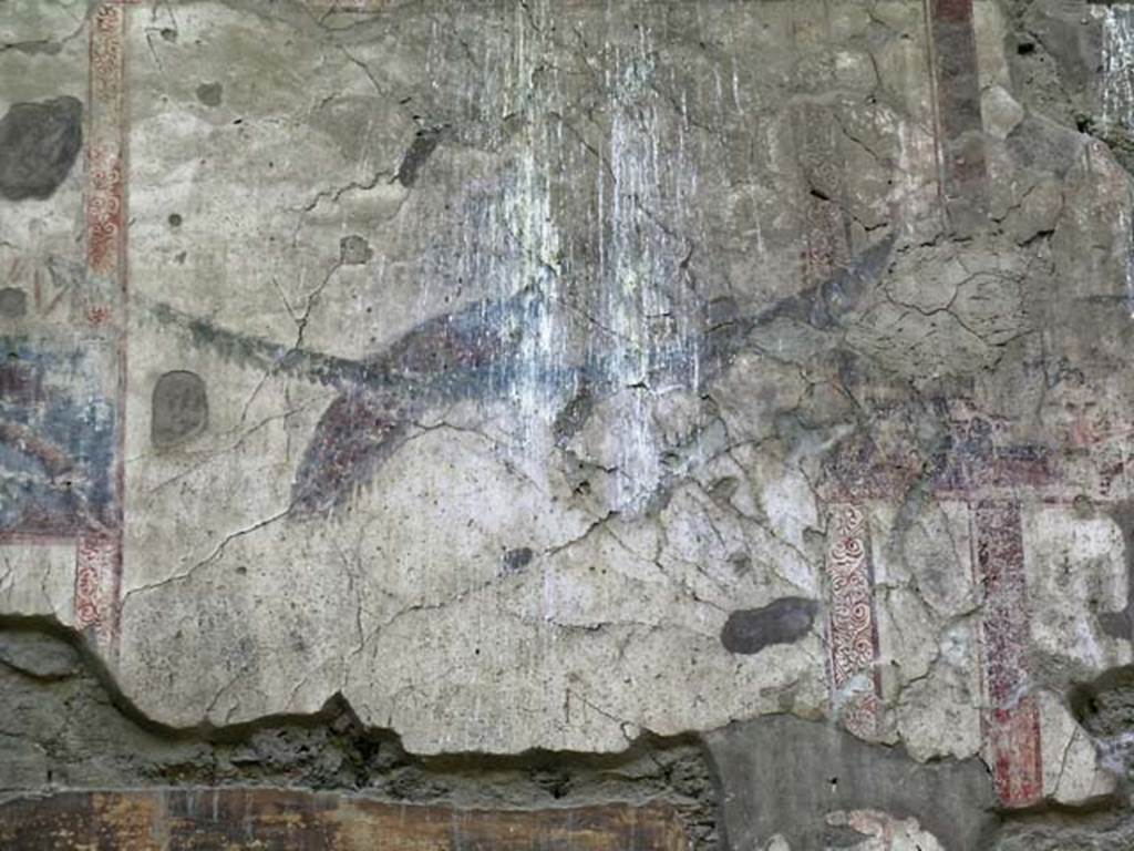 V.11, Herculaneum. May 2004. Detail of painted peacock sitting on hanging garland on west wall of atrium..
Photo courtesy of Nicolas Monteix.
