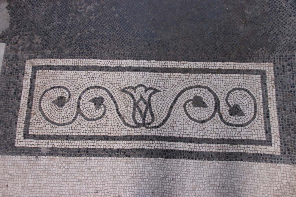 V.15 Herculaneum. October 2020. Mosaic threshold in entrance corridor, leading towards atrium. Photo courtesy of Klaus Heese.