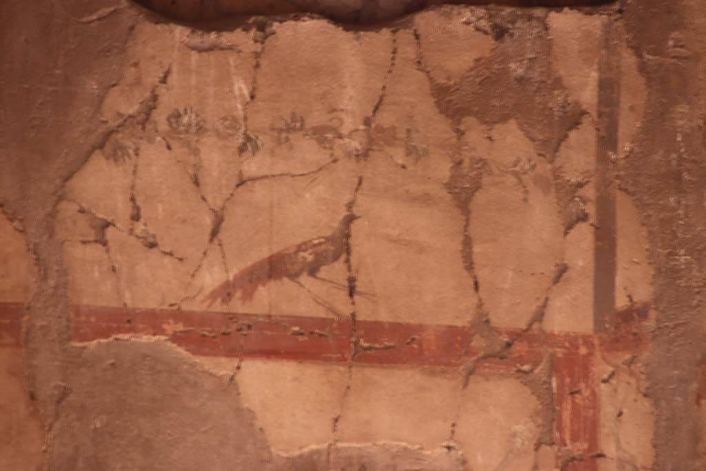 V.15, Herculaneum. October 2020. Upper painted detail of peacock from centre of west wall in atrium. Photo courtesy of Klaus Heese.
