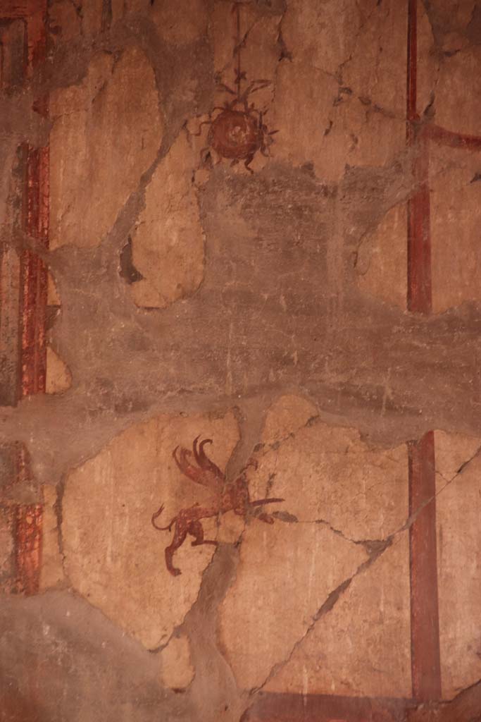 V.15 Herculaneum, October 2020. Detail of painted panel from upper south wall of atrium, towards south-west corner. Photo courtesy of Klaus Heese.
0410 Herkulaneum - Casa del Bicentenario (V.15) - Raum (3) - Atrium - Sdwand - re oben - Detail.

