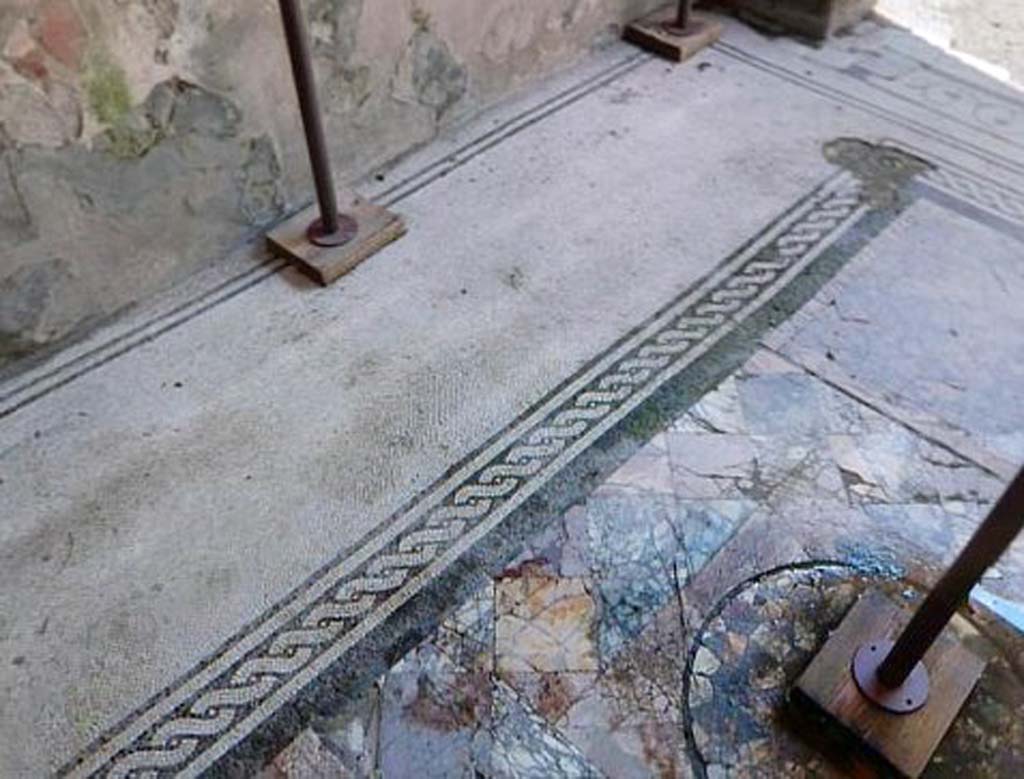 V.15 Herculaneum. Tablinum, detail of mosaic flooring.