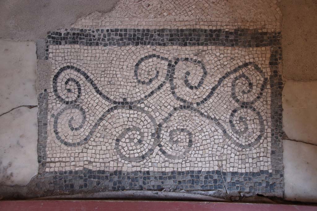 V.15 Herculaneum. September 2021. Detail of mosaic threshold from triclinium to north portico. Photo courtesy of Klaus Heese.