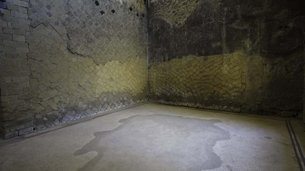 V.15 Herculaneum, August 2021. 
Looking towards north wall, north-east corner and east wall of triclinium. Photo courtesy of Robert Hanson.
