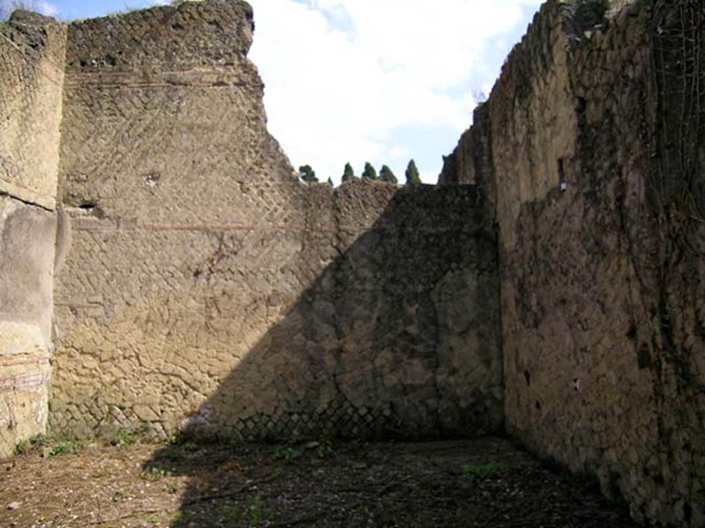 V.15, herculaneum, May 2004. Looking towards east wall of large oecus at rear of peristyle. 
Photo courtesy of Nicolas Monteix.
