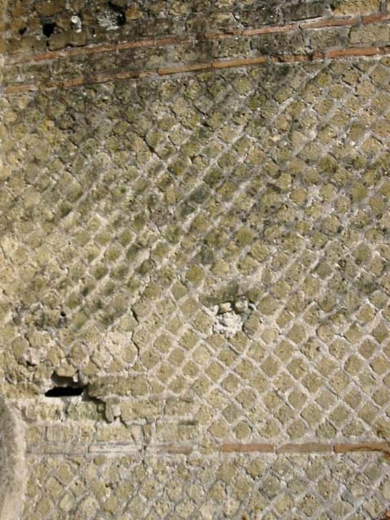V.15, Herculaneum, May 2003. Detail from east wall of large oecus on south side of peristyle.
Photo courtesy of Nicolas Monteix.
