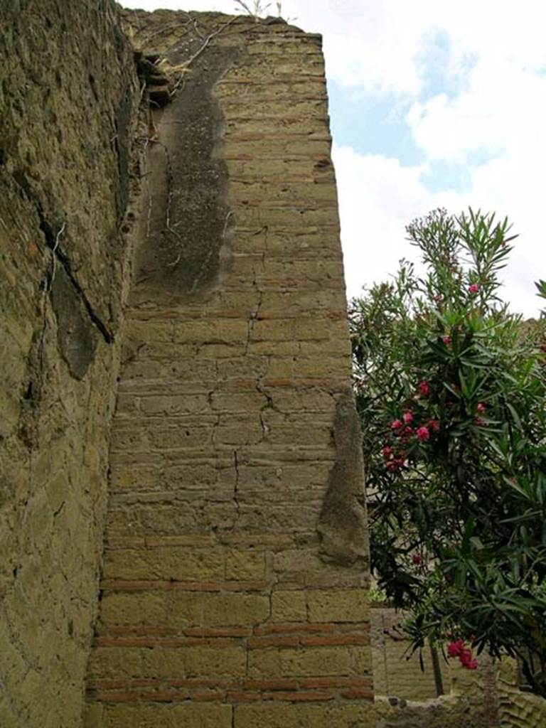 V.15, Herculaneum, June 2006. 
Looking west towards upper wall of peristyle from near kitchen/latrine in south-east corner.
Photo courtesy of Nicolas Monteix.
