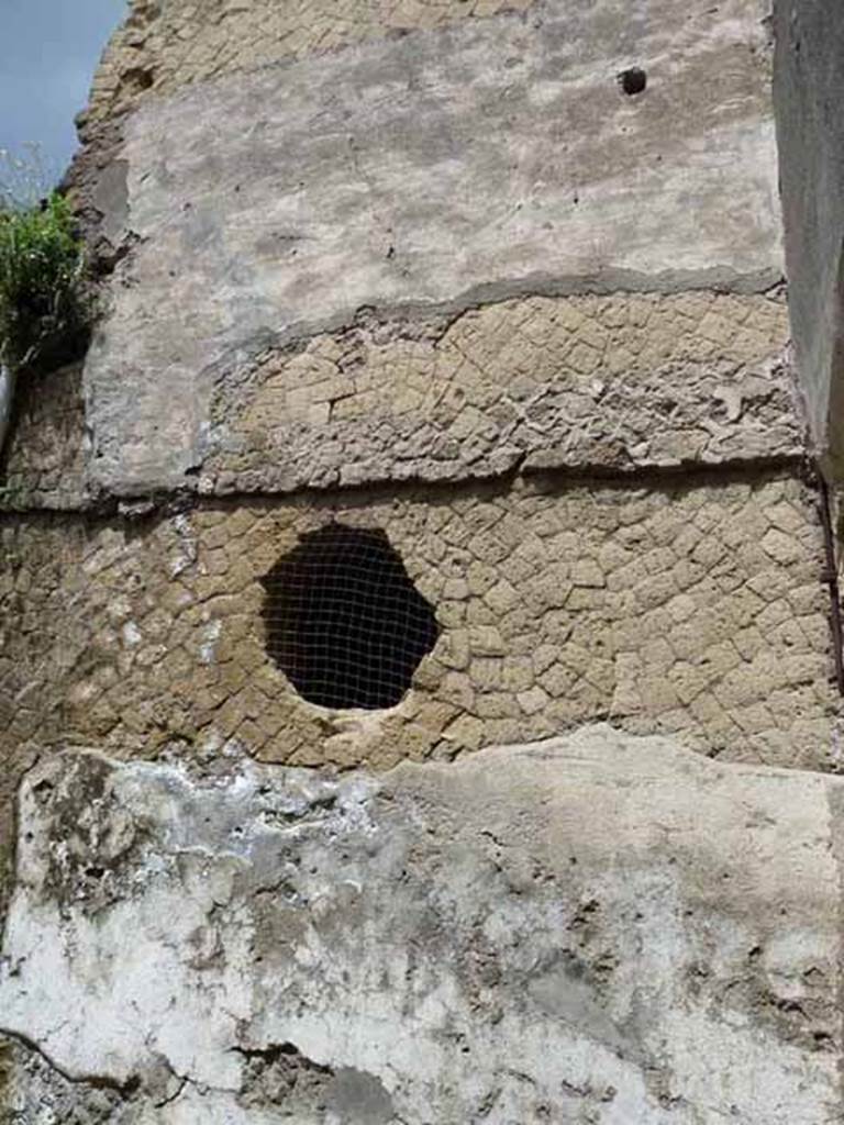 Ins. V, 19. May 2010. West wall of rear room.