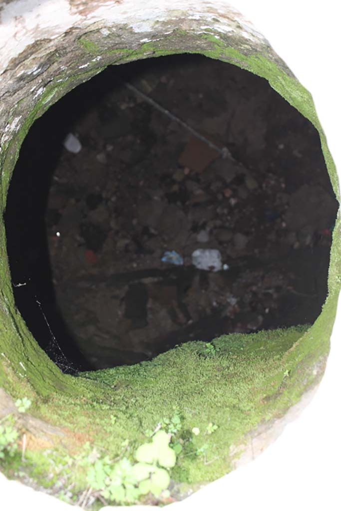 V.35 Herculaneum. March 2014. Courtyard 12, looking into cistern mouth.
Foto Annette Haug, ERC Grant 681269 DÉCOR


