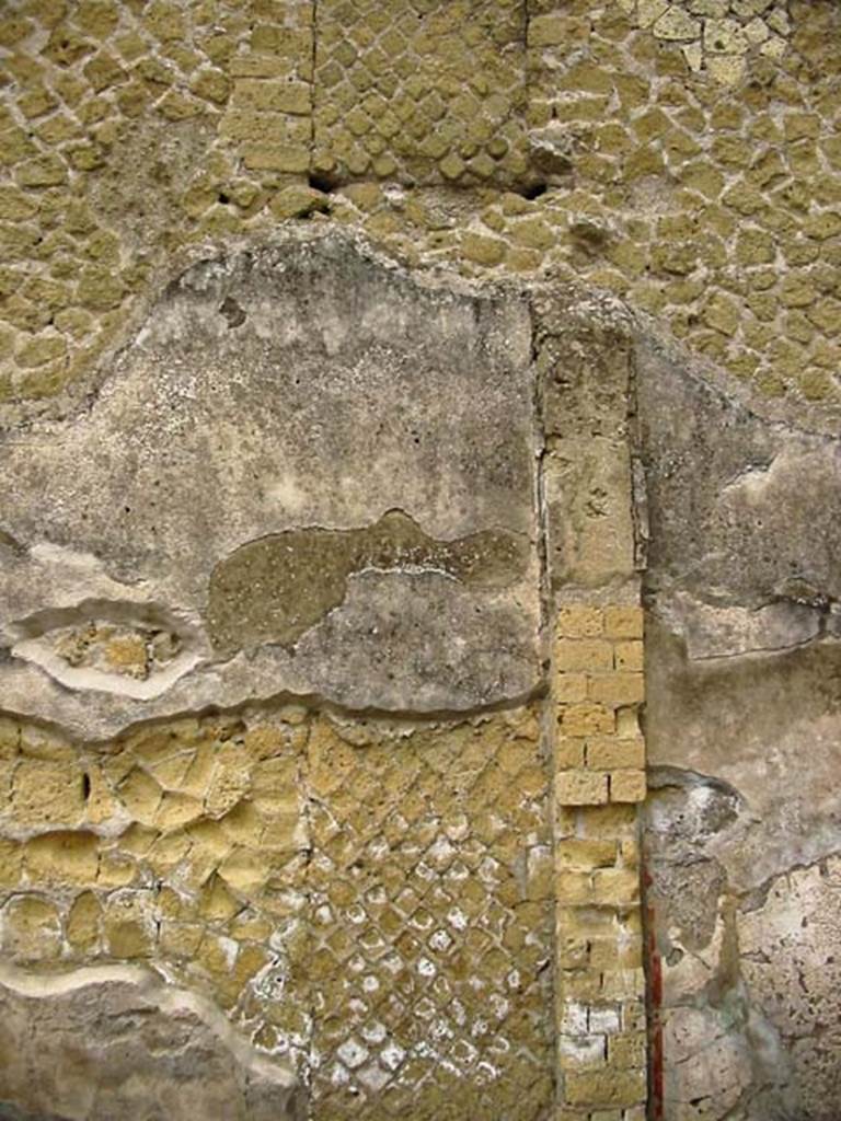 VI.7, Herculaneum. May 2003. Detail from north wall at east end. Photo courtesy of Nicolas Monteix.
