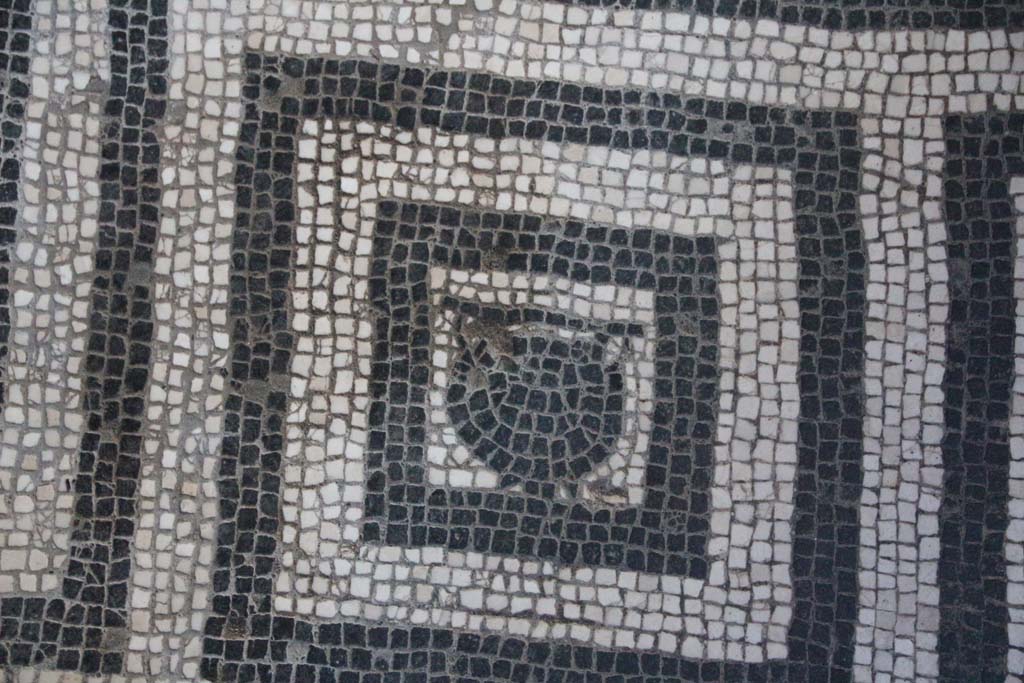 VI.8, Herculaneum. April 2014. Detail of mosaic floor in tepidarium. Photo courtesy of Klaus Heese.