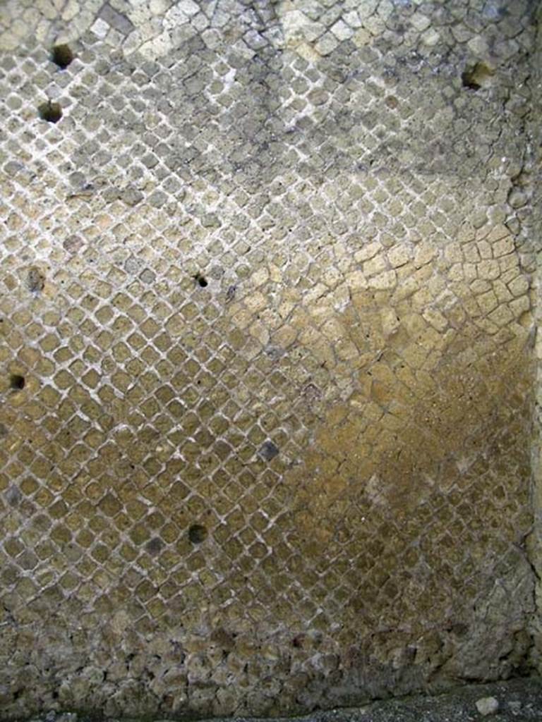 VI.10, Herculaneum. May 2004. Looking towards north wall. 
Photo courtesy of Nicolas Monteix
