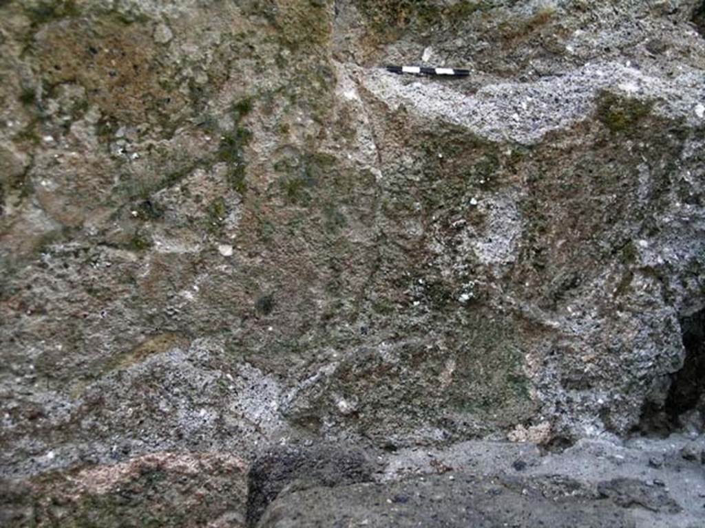 VI.12, Herculaneum. September 2004.  Detail from west wall above lower step in north-west corner of rear room. 
Photo courtesy of Nicolas Monteix.
