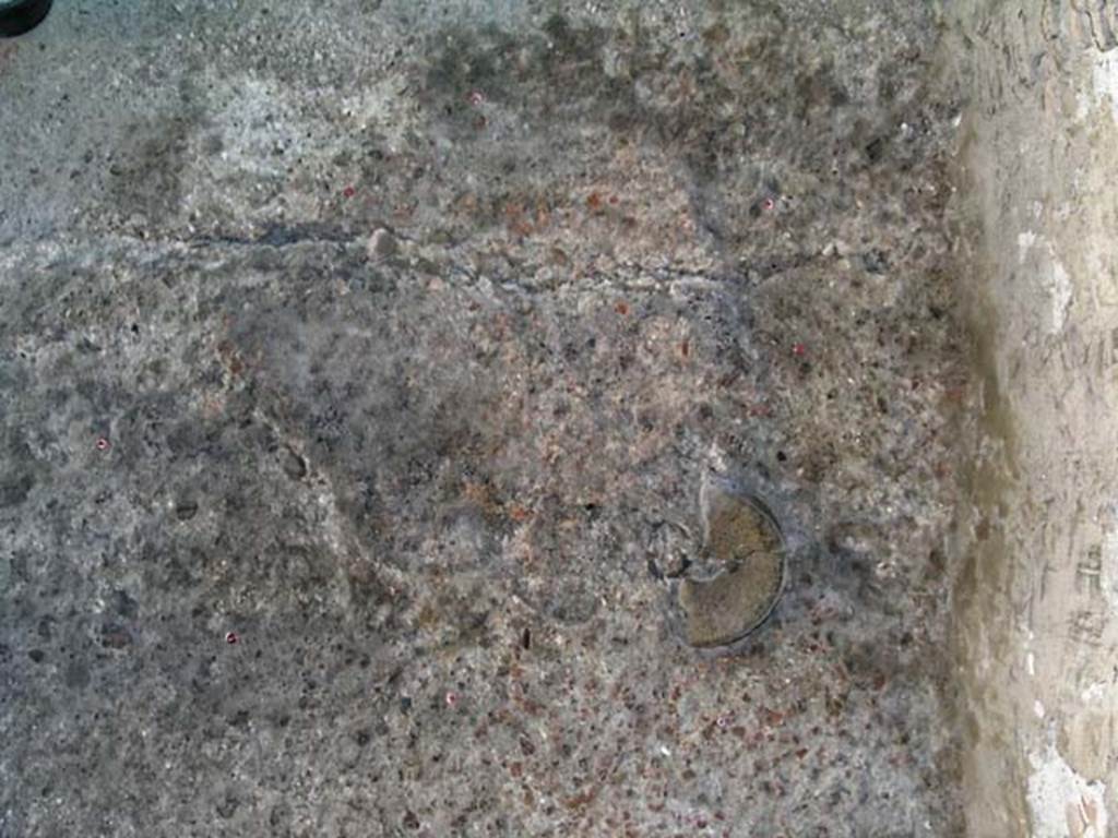 VI.12 Herculaneum. September 2004. Floor on west side of shop-room.
Photo courtesy of Nicolas Monteix.
