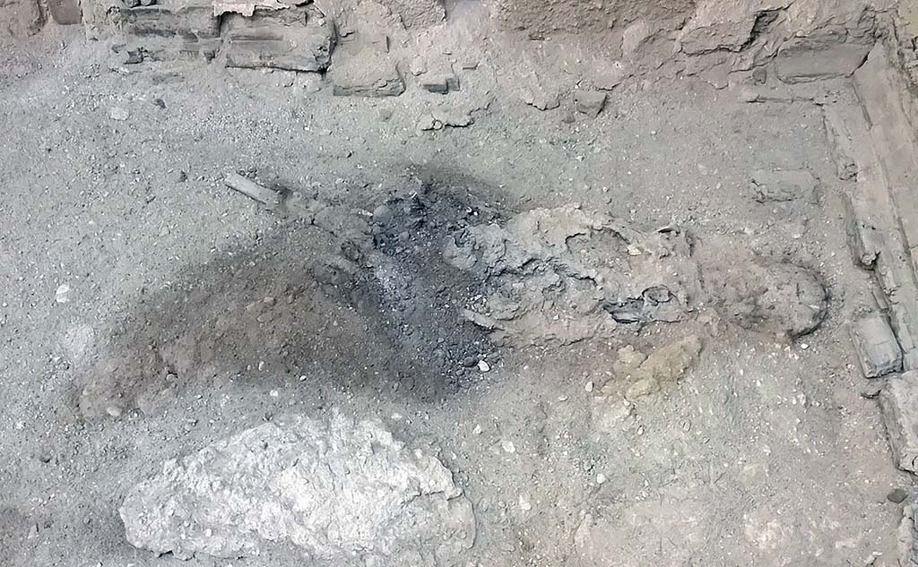 VI.21 Herculaneum. January 2020. Remains of skeleton lying on bed in “caretaker’s room”. Photo courtesy Pier Paolo Petrone.
A team led by Pier Paolo Petrone, a forensic anthropologist at the Federico II University in Naples, determined that the victim’s brain matter had been vitrified, a process by which tissue is burned at a high heat and turned into glass, according to the new study. The fragments presented as shards of shiny black material spotted within remnants of the victim’s skull. 
A study of the charred wood nearby indicates a maximum temperature of 520 degrees Celsius (968 degrees Fahrenheit). "This suggests that extreme radiant heat was able to ignite body fat and vaporize soft tissue," the study said.
The resulting solidified spongy mass found in the victim’s chest bones is also unique among other archaeological sites and can be compared with victims of more recent historic events like the firebombing of Dresden and Hamburg in World War II, the article said.
The flash of extreme heat was followed by a rapid drop in temperatures, which vitrified the brain material, the authors said.
"This is the first time ever that vitrified human brain remains have been discovered resulting from heat produced by an eruption," Herculaneum officials said.
See Mount Vesuvius blast turned ancient victim’s brain to glass on the Archaeology News Network.
See Heat-Induced Brain Vitrification from the Vesuvius Eruption in c.e. 79 in The New England Journal of Medicine.

