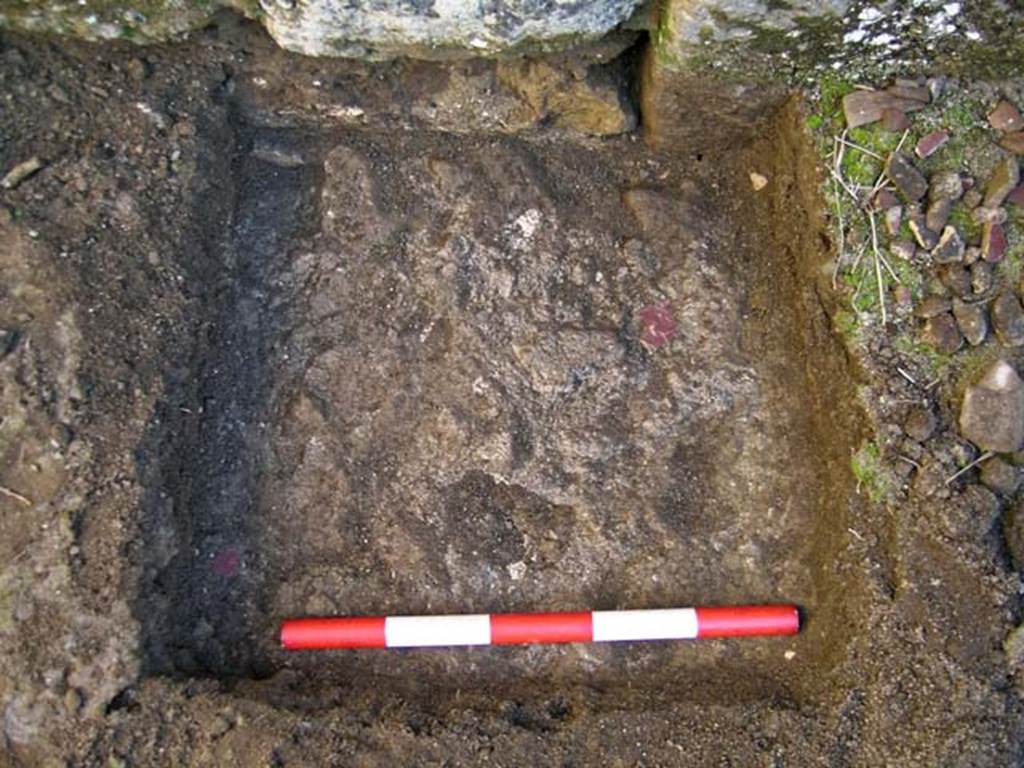 VI.25, Herculaneum. May 2004. Detail of an investigation beneath the floor of the shop-room. 
Looking west on the west side below the north end of the threshold.  Photo courtesy of Nicolas Monteix.
