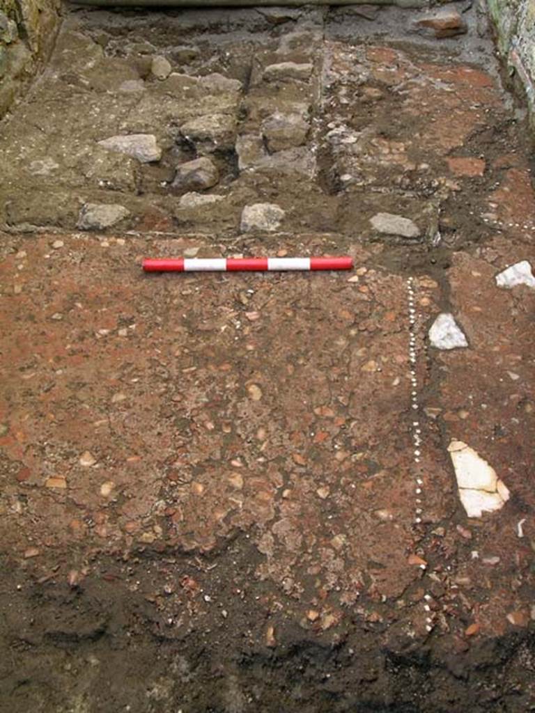 VI.25, Herculaneum. May 2004. Rear room, detail of flooring, looking north. 
Photo courtesy of Nicolas Monteix.

