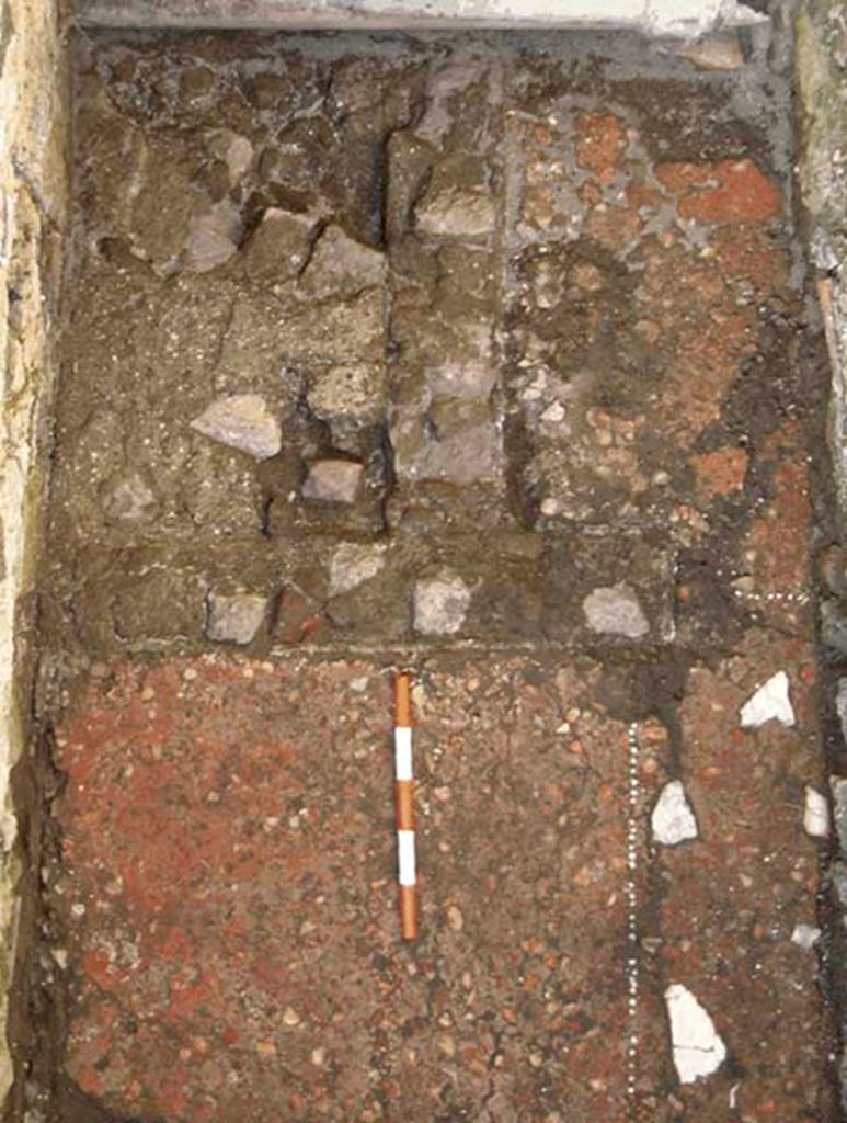 VI.25, Herculaneum. May 2004. Rear room, looking north towards north end of flooring.  
Photo courtesy of Nicolas Monteix.
