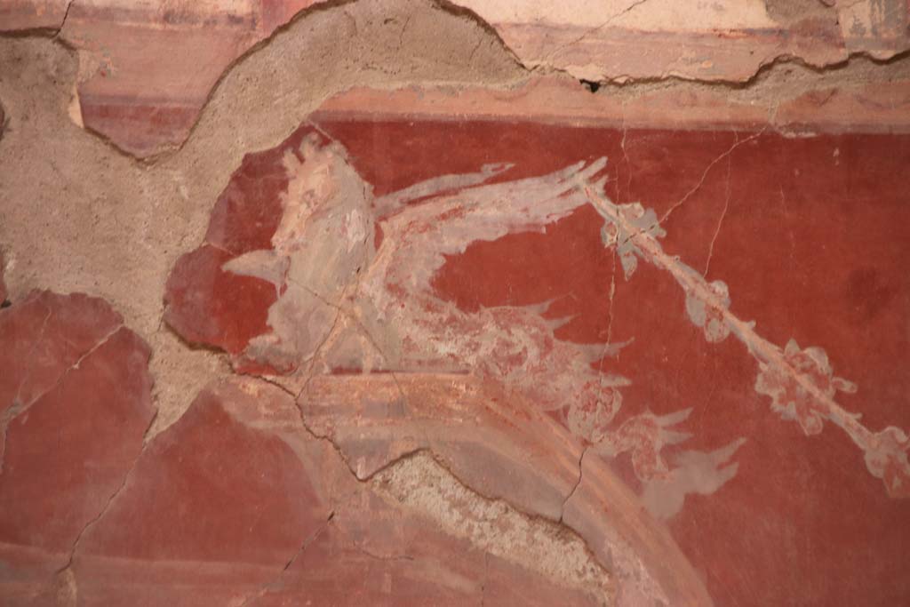 VI.29 Herculaneum. October 2020.  Room 7, oecus, detail from the east (right) end of the centre of the north wall. Photo courtesy of Klaus Heese. 