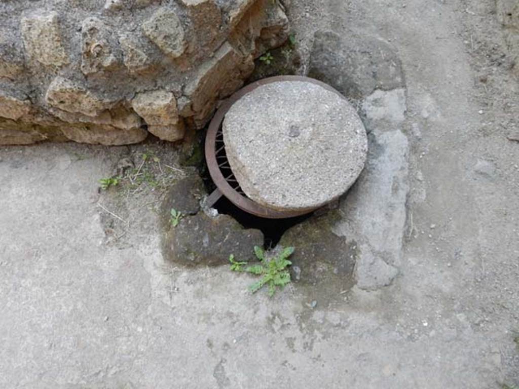 VI.29 Herculaneum. May 2018. 
Atrium 9, second atrium, cistern mouth in south-west corner of impluvium. Photo courtesy of Buzz Ferebee.
