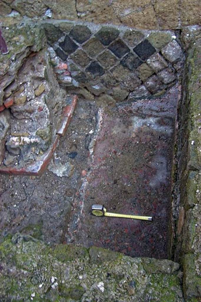 VI.30, Herculaneum. February 2003. Looking north across vat/basin.
Photo courtesy of Nicolas Monteix.
