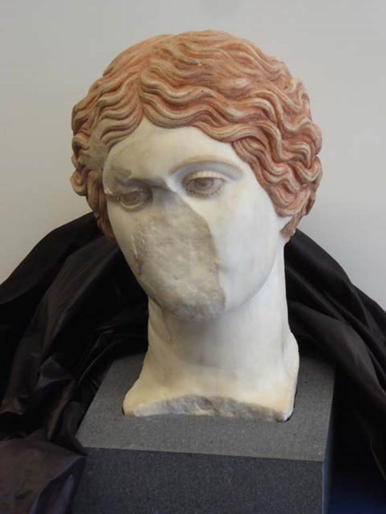 VII.16 Herculaneum, September 2016. Head of an amazon, from Basilica Noniana, now in Herculaneum Deposits. Photo courtesy of Michael Binns.
Found inside the building during the winter of 2006, whilst moving back the face of the western escarpment, was the marble head of an Amazon, which still preserved the remains of reddish-brown hair and eyes, the latter painted accurately.
See Guidobaldi, M.P, 2009: Ercolano, guida agli scavi. Naples, Electa Napoli, (p.115-6).
See Pesando, F. and Guidobaldi, M.P. (2006). Pompei, Oplontis, Ercolano, Stabiae. Editori Laterza, (p.373-4)