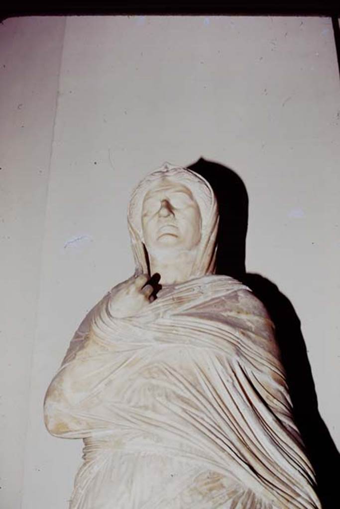 Ins. VII, Herculaneum, 1975. Detail from statue of Viciria, mother of Nonius Balbus.
Photo by Stanley A. Jashemski.
Source: The Wilhelmina and Stanley A. Jashemski archive in the University of Maryland Library, Special Collections (See collection page) and made available under the Creative Commons Attribution-Non Commercial License v.4. See Licence and use details. J75f0574