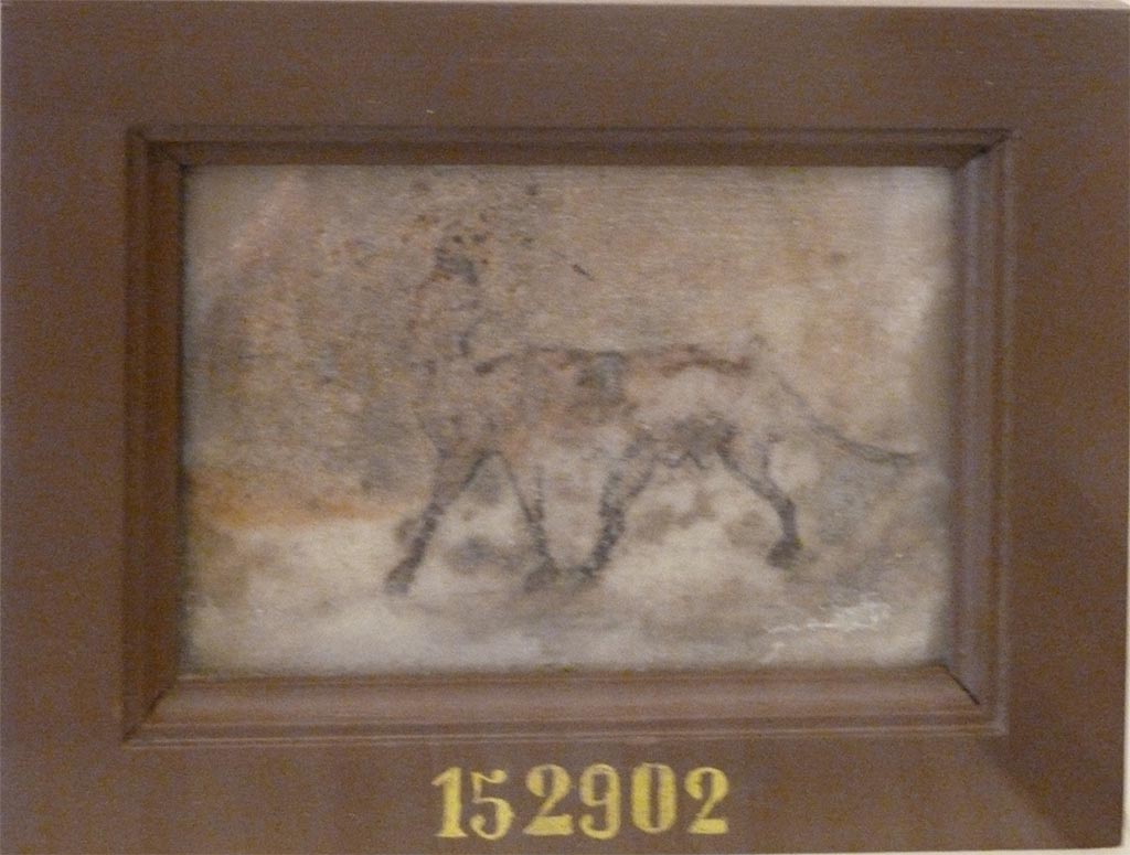 Ins. Orientalis I.1, Herculaneum. 
Two monochrome paintings on small slabs of marble were found together in the peristyle, on 9th November 1934.
Painting on marble of a sphynx, but in a bad state of conservation.
Now in Naples Archaeological Museum. Inventory number 152902.
See Sampaolo V. and Bragantini I., Eds, 2009. La Pittura Pompeiana. Electa: Verona, p. 118, 13b.
According to Guidobaldi (2006), these may have been found in the atrium of the House of Telephus Relief, Ins. Or. I, 2.
